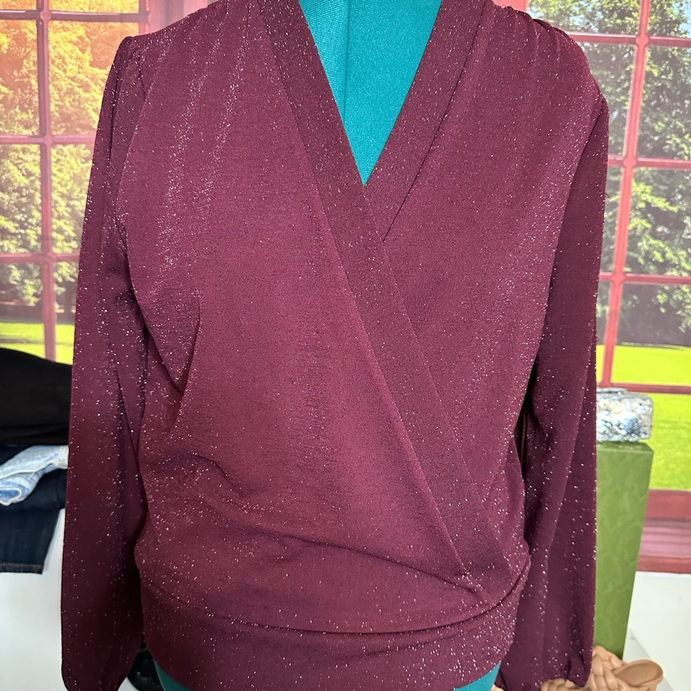 Ann Taylor Factory Sparkling Maroon V-Neck Blouse